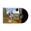 English Teacher - This Could Be Texas