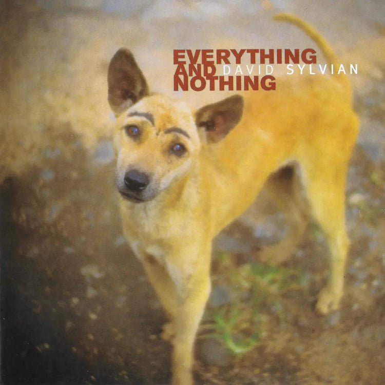 David Sylvian - Everything and Nothing