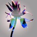 Gates Of Light II - Glasgow Edition (Digital EP)