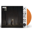 Geese - Projecter