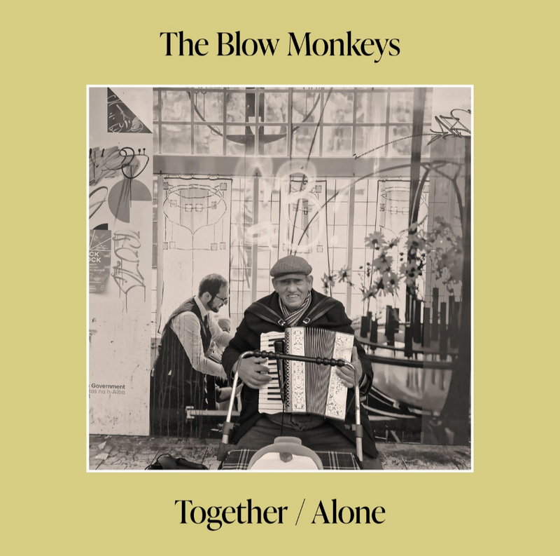 The Blow Monkeys - Together/Alone (Pre-Order)
