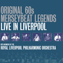 Original 60s (sixties) Merseybeat Legends -  The Concert, The Album & Gerry Marsden's Final Recordings