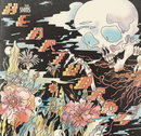 The Shins - Heartworms