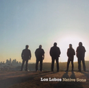 Los Lobos - Native Sons (Indie Exclusive, Coke Bottle Clear Vinyl)