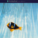 The Big Dish - Swimmer - 40th Anniversary Reissue