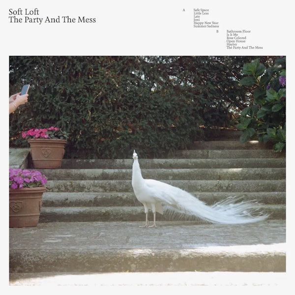 Soft Loft - The Party And The Mess
