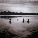 Twin Experiment - The Hush Hush - (Pre-Order LP, DL)