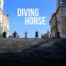 Diving Horse - Singles Collection - White Vinyl LP