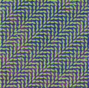 Animal Collective - Merriweather Post Pavilion - lastnightfromglasgow