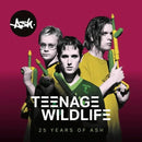 Ash - Teenage Wildlife - 25 Years of Ash - lastnightfromglasgow