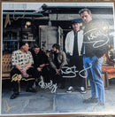 Stone Foundation - Everyone, Anyone (Signed)