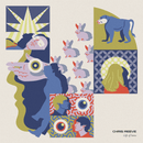 Chris Reeve - Gift Of Sorts - LP / CD / DL - lastnightfromglasgow