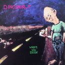 Dinosaur Jr - Where You Been - NAD23 - lastnightfromglasgow