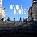 Diving Horse - Singles Collection - White Vinyl LP - lastnightfromglasgow