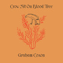 Graham Coxon - Crow Sit On Blood Tree - lastnightfromglasgow