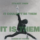 Guided By Voices - It's Not Them It Couldn't Be Them It Is Them! - lastnightfromglasgow