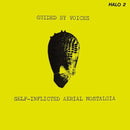 Guided By Voices - Self - Inflicted Aerial Nostalgia - lastnightfromglasgow