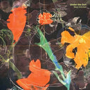 Maya Shenfeld - Under the Sun - lastnightfromglasgow