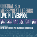 Original 60s (sixties) Merseybeat Legends - The Concert, The Album & Gerry Marsden's Final Recordings - lastnightfromglasgow