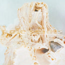 Pale Saints - In Ribbons (30th Anniversary Reissue) - lastnightfromglasgow