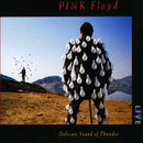Pink Floyd - Delicate Sound of Thunder - lastnightfromglasgow
