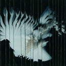 Scaler - Endlessly - lastnightfromglasgow
