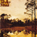 Silver Jews - Starlite Walker - lastnightfromglasgow