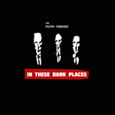 The Filthy Tongues - In These Dark Places (Radio Edit) - Digital Download - lastnightfromglasgow
