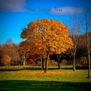 The Golden Tree - Scottish Songs Observed Volume 1 - lastnightfromglasgow