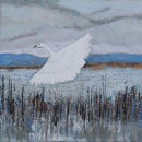 The New Leaves - Donaghaguy Reservoir (Lossless DL) - lastnightfromglasgow