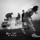 The Scratch - Pull Like a Dog - lastnightfromglasgow