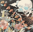 The Shins - Heartworms - lastnightfromglasgow