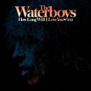 The Waterboys - How Long Will I Love You 2021 - lastnightfromglasgow