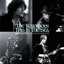 The Waterboys - This Is The Sea (Fast Version) - lastnightfromglasgow