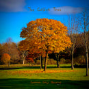 The Golden Tree - Scottish Songs Observed Volume 1