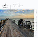 Tom Donnelly - Musique Verite - CD & Lossless DL - lastnightfromglasgow