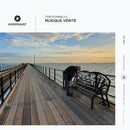 Tom Donnelly - Musique Verite - CD & Lossless DL