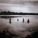 Twin Experiment - The Hush Hush - (Pre-Order LP, DL) - lastnightfromglasgow