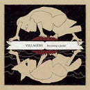 Villagers - Becoming A Jackal - lastnightfromglasgow