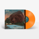 Villagers - Fever Dreams - lastnightfromglasgow