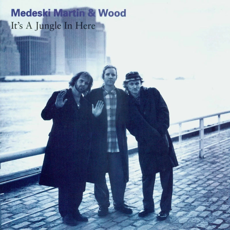 Martin Medeski and Wood- It's a Jungle In Here