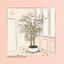 Life Model - Lost on Weekdays / Lonely By Sunday