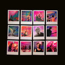 The Midnight- Red, White and Bruised: The Midnight Live