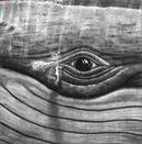 Lizabett Russo - While I Sit And Watch This Tree Volume 2 - Vinyl