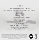 Close Lobsters - Post Neo Anti LP, CD & DL. - lastnightfromglasgow
