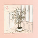 Life Model - Lost on Weekdays / Lonely By Sunday - lastnightfromglasgow