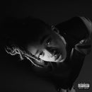 Little Simz - Grey Area - lastnightfromglasgow