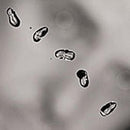 Peter Gabriel - Up - lastnightfromglasgow