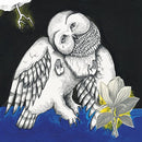 Songs Ohia - Magnolia Electric Co. - lastnightfromglasgow