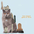 The Brian Jonestown Massacre - Fire Doesn't Grow On Trees - lastnightfromglasgow